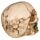 Gothic Skulls and Roses Ornament