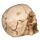 Gothic Skulls and Roses Ornament
