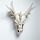 Dragon Skull Decoration with Metallic Detail
