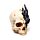 Shadows of Darkness Dragon - Black Dragon in Skull Small