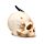 Shadows of Darkness Dragon - Black Dragon in Skull Small