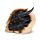 Shadows of Darkness Dragon - Black Dragon in Skull Large