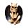 Decorative Set of 3 Ornaments - The Reaper See No Speak No Hear No Evil Winged Demons