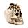 Decorative Ornament - Skull with Spider