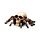 Decorative Ornament - Skull with Spider Legs