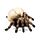 Decorative Ornament - Skull with Spider Legs
