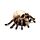 Decorative Ornament - Skull with Spider Legs