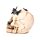 Decorative Ornament - Skull with Metallic Butterflies