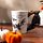 Shaped Handle Ceramic Mug - Bat