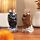 Ceramic Salt & Pepper Set - Bat