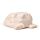 Ceramic Salt & Pepper Set - White Wolf