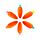 Shaped Highlighter Set of 6 - Carrot
