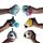 Queasy Squeezies Fidget Toy - Adoramals Ocean