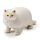 Fun Kids Stretchy Fat Cat Toy