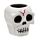 Kids Pop Out Toy - Skull Bat