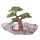 Tiered Fairy Mountain Display Stand