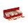 Nail File Matchbook - Christmas Botanicals